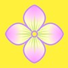 八仙花