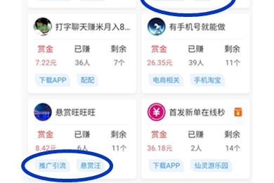 悬赏任务APP做副业,打算长期玩