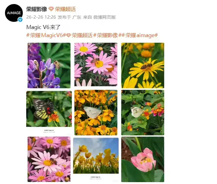 AiMAGE 图像首次展示实力，HONOR Magic V6 拍摄样张曝光