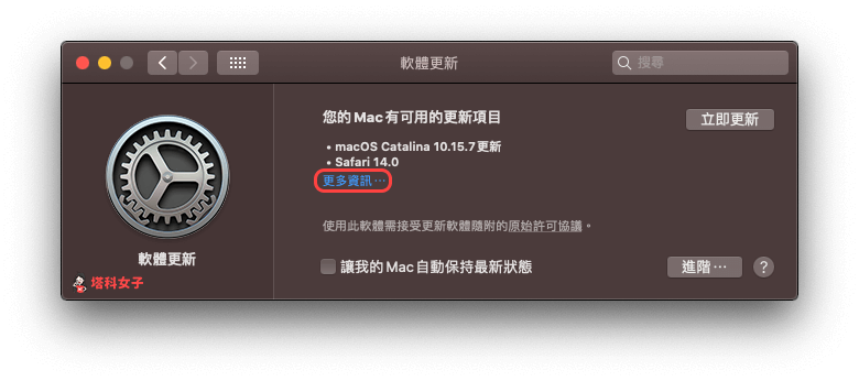 Safari 14 让你能自定义浏览器背景图片，并控制要显示的常用功能