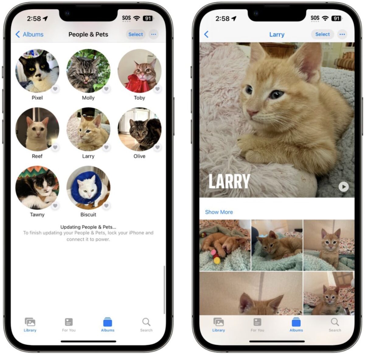 iPhone iOS 17 QR code 照片相机功能