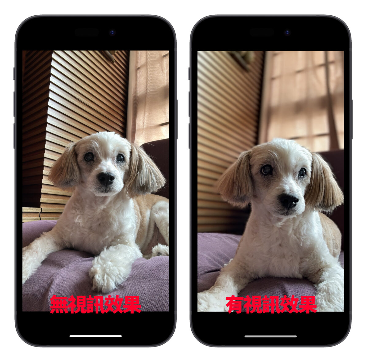 iOS iPhone视讯效果 人像模式 人像 拍照