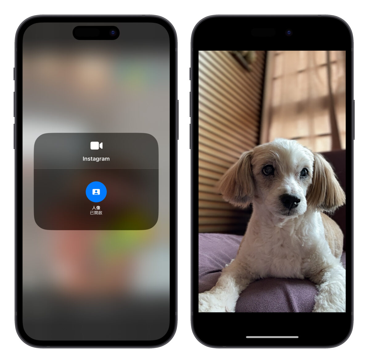 iOS iPhone视讯效果 人像模式 人像 拍照