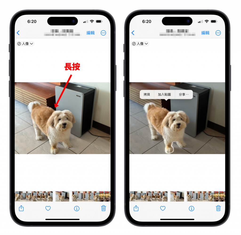 iPhone 照片去背完整教程：免下载 App、内建相簿帮你一键照片去背景