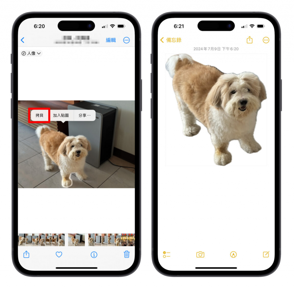 iPhone 照片去背完整教程：免下载 App、内建相簿帮你一键照片去背景