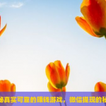 可以赚钱的游戏真实有效，推荐几款不虚假宣传的游戏
