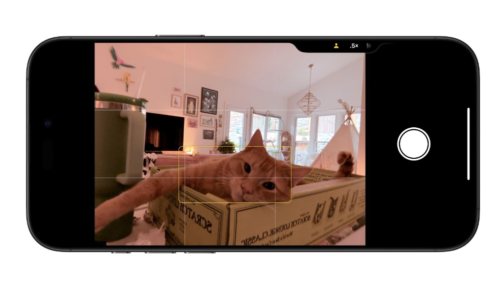 Apple 为 iPhone 16 系列的 Camera Control 加入一颗「新镜头」 - 安卓手赚网