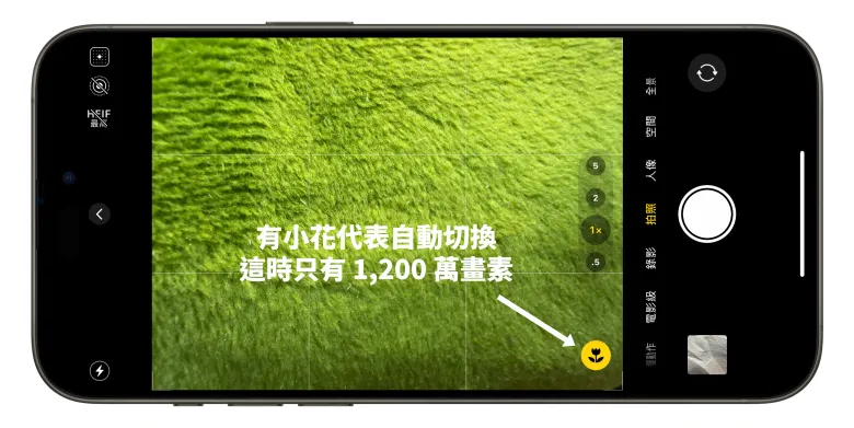 iPhone 16 Pro 的 4,800 万像素微距摄影技巧，教你拍出高分辨率的细节照片