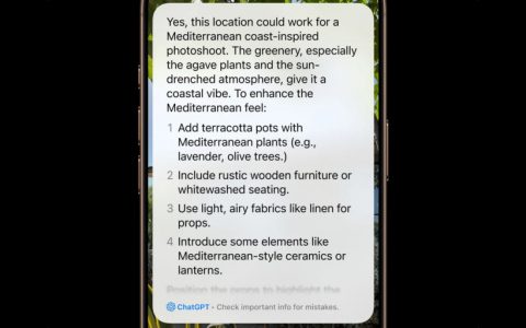 iPhone 16的全新视觉智能：解锁相机新功能，提升日常互动体验