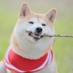 晚班兼职如何三小时100元？这个其实还是不难的哦