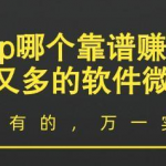 赚钱的app哪个靠谱赚钱还快？赚钱快又多的软件微信提现
