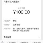 全自动挂机赚钱一天40元（不如做任务赚钱一天一百元）