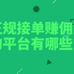 正规接单赚佣金的平台有哪些？为大家分享两个非常靠谱的