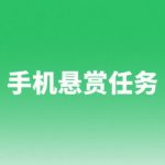 手机悬赏任务app下载安装（十大悬赏任务平台app大全）